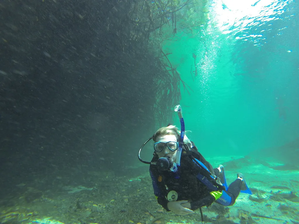 Cenotes of the Yucatán