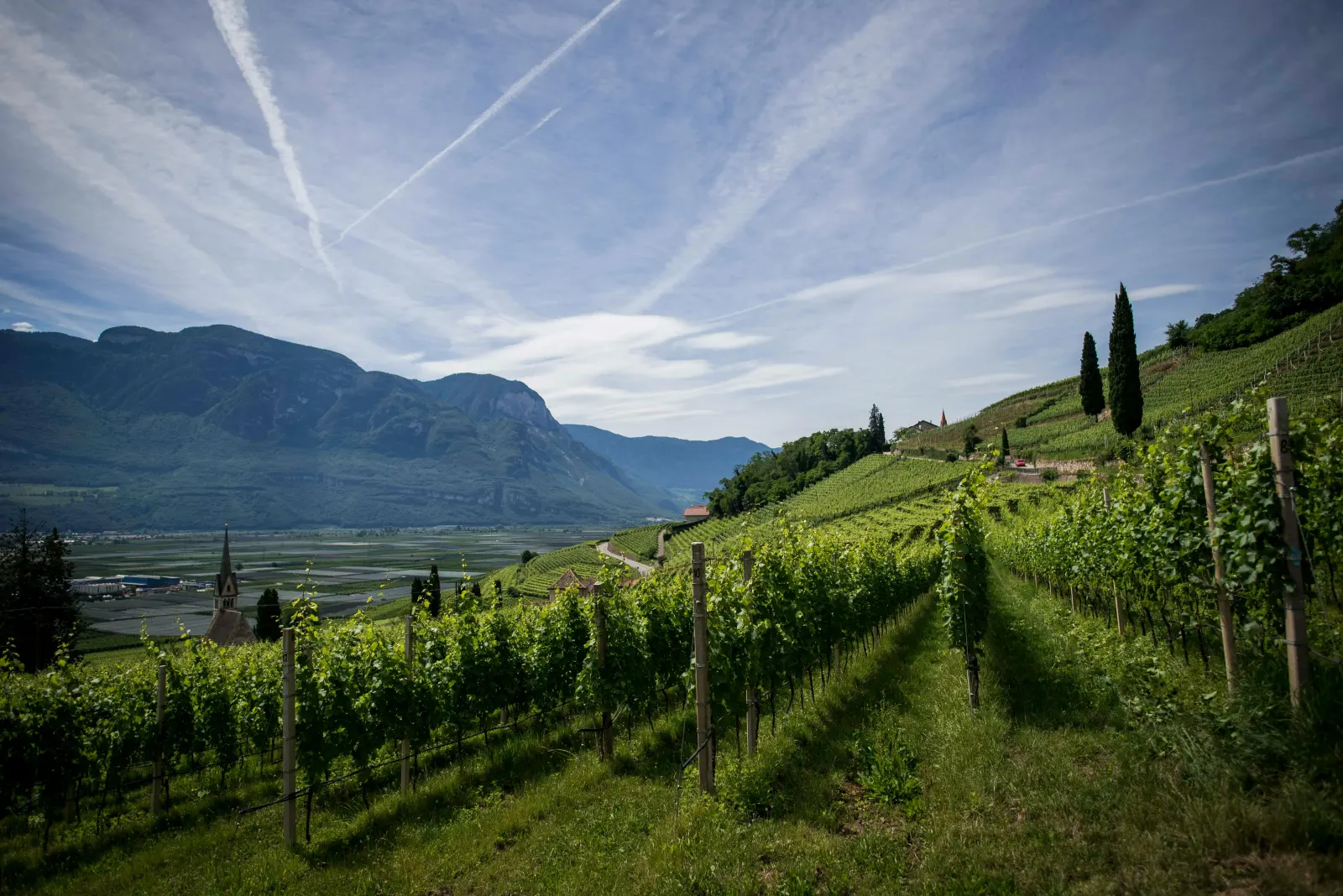 Italy landscape