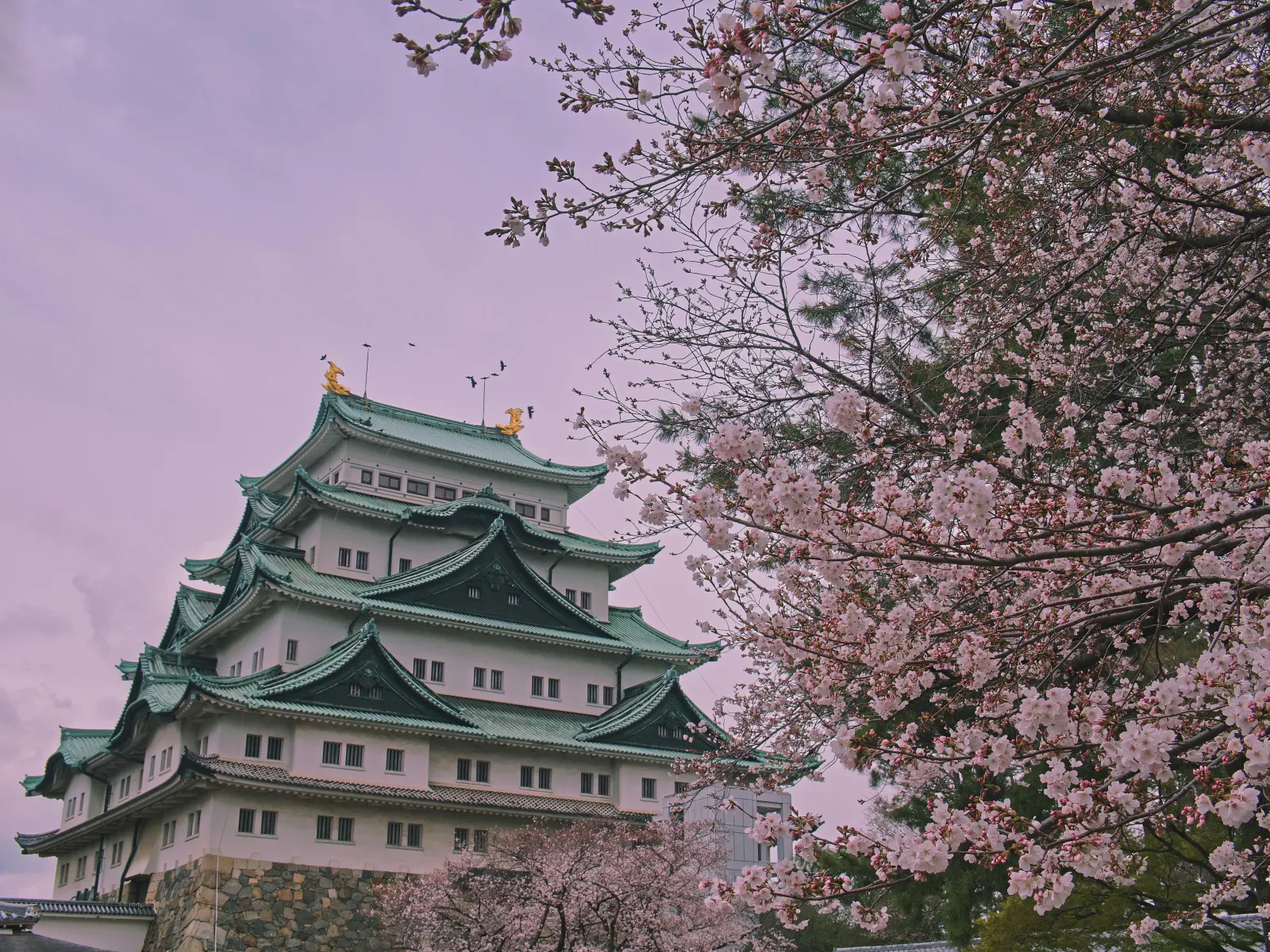 Japan landscape