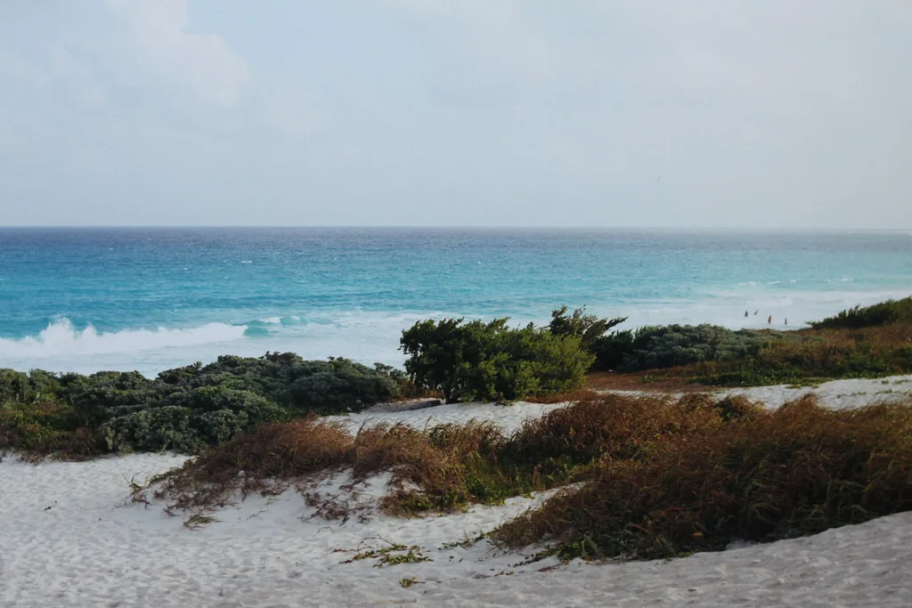Mexico landscape