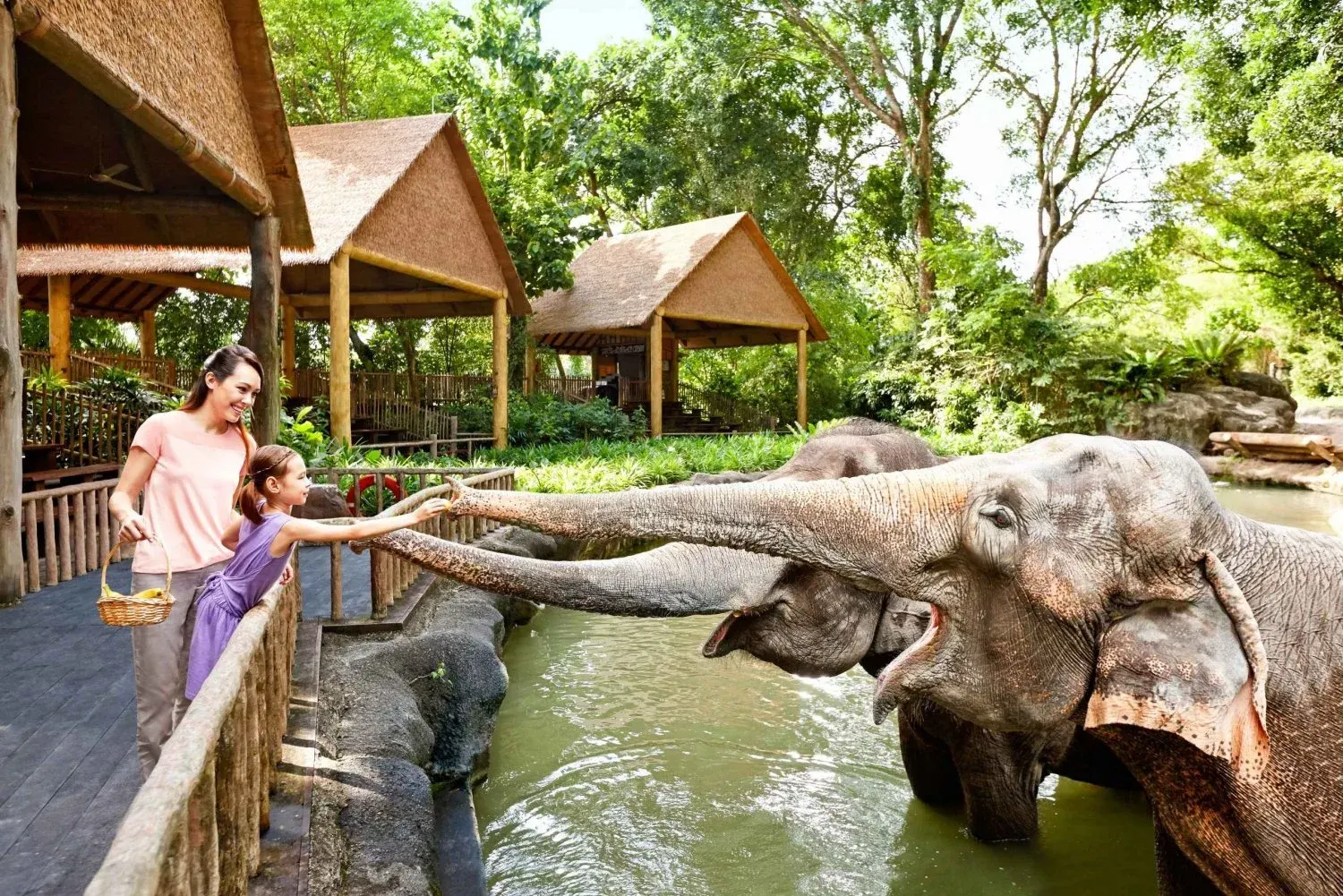 Singapore Zoo